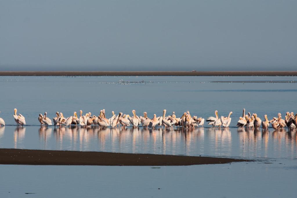 Lagoon Lodge Walvis Bay Kültér fotó